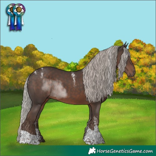 Horse Color:Powder White Silver Black Tobiano 