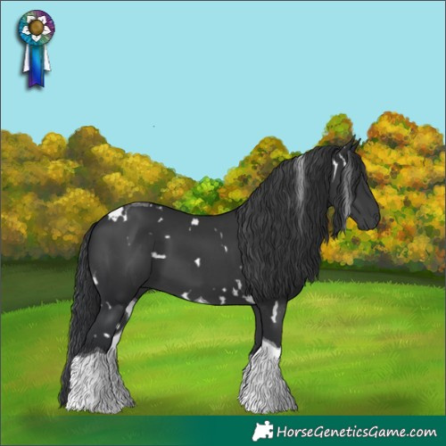 Horse Color:White Spotted Black Tobiano