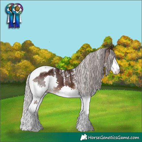 Horse Color:Powder White Silver Brown Splash Tobiano