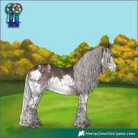Horse Color:Powder White Silver Brown Splash Tobiano 