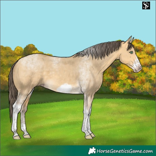 Horse Color:Amber Cream Champagne Dun Merle Tobiano Frame 