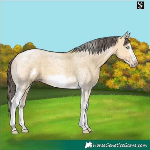 Horse Color:Amber Cream Champagne Dun Merle Tobiano Frame
