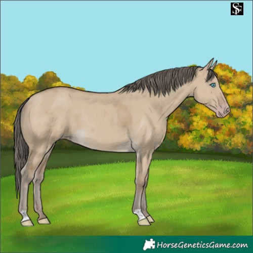 Horse Color:Classic Cream Champagne Dun Merle 