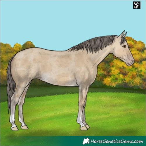 Horse Color:Classic Cream Champagne Dun Merle 