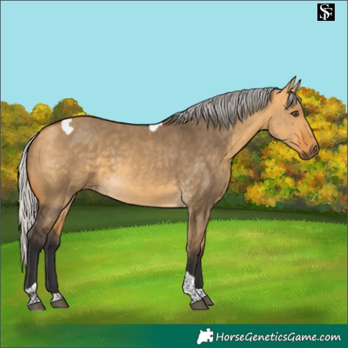 Horse Color:Silver Buckskin Dun Tobiano