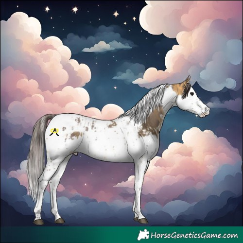 Horse Color:Chocolate Grullo Splash Tobiano  and Buckskin Splash Tobiano 