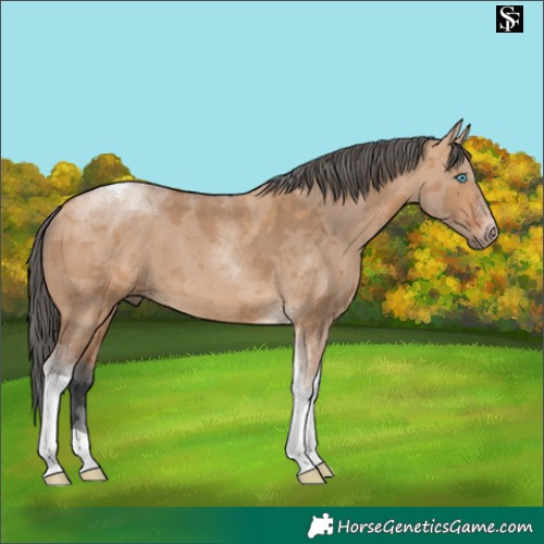Horse Color:Bay Dun Merle Tobiano