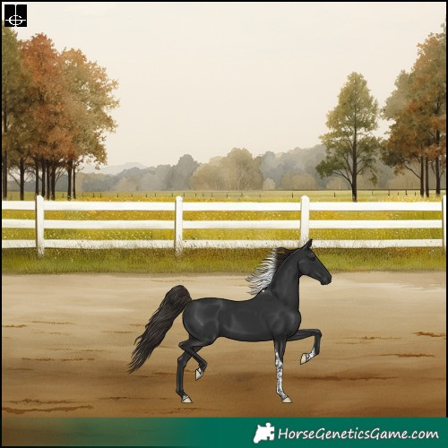 Horse Color:Liver Chestnut Tobiano Rabicano 