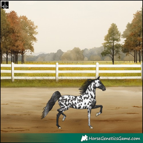 Horse Color:Liver Chestnut Tobiano Skewed LP Spotted Rabicano