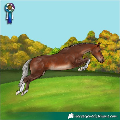 Horse Color:Silver Bay