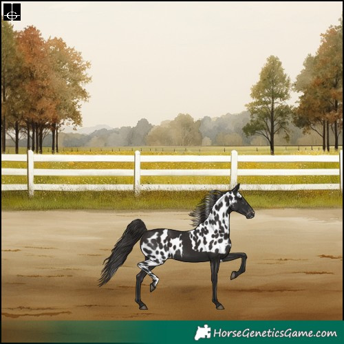 Horse Color:Liver Chestnut Skewed LP Spotted Rabicano 
