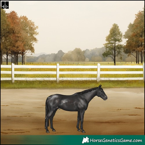 Horse Color:Liver Chestnut Skewed LP Spotted Rabicano