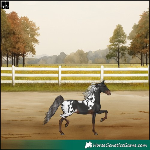 Horse Color:Liver Chestnut Skewed LP Spotted Rabicano