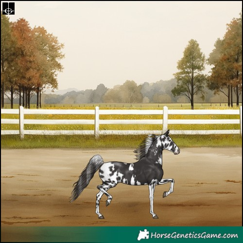 Horse Color:Liver Chestnut Tobiano Skewed LP Spotted Rabicano 