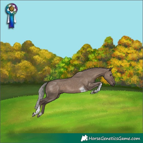Horse Color:Silver Grullo Tobiano