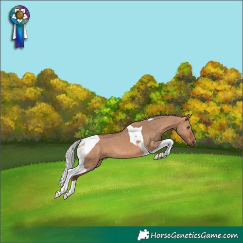 Horse Color:Silver Bay Dun Tobiano
