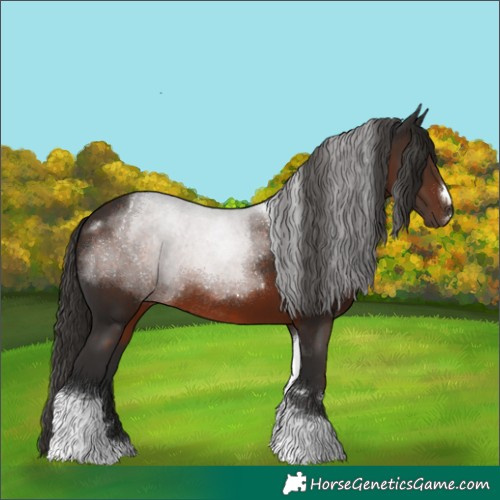 Horse Color:Liver Chestnut Tobiano Rabicano 