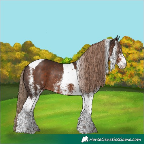 Horse Color:White Spotted Liver Chestnut Tobiano Rabicano