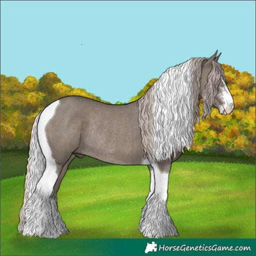 Horse Color:Silver Grullo Sabino Tobiano Rabicano 