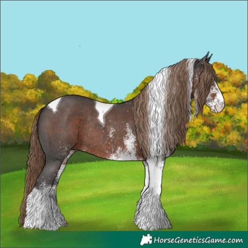Horse Color:White Spotted Liver Chestnut Tobiano Rabicano 