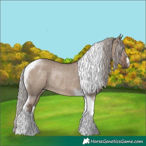 Horse Color:Silver Grullo Tobiano Rabicano 