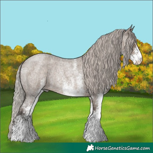 Horse Color:White Spotted Silver Grullo Roan Rabicano 
