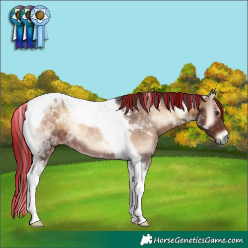 Horse Color:Painted Liver Red Onyx Tobiano Rabicano 