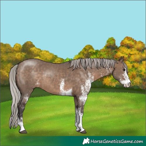 Horse Color:White Spotted Silver Brown Dun Tobiano Rabicano