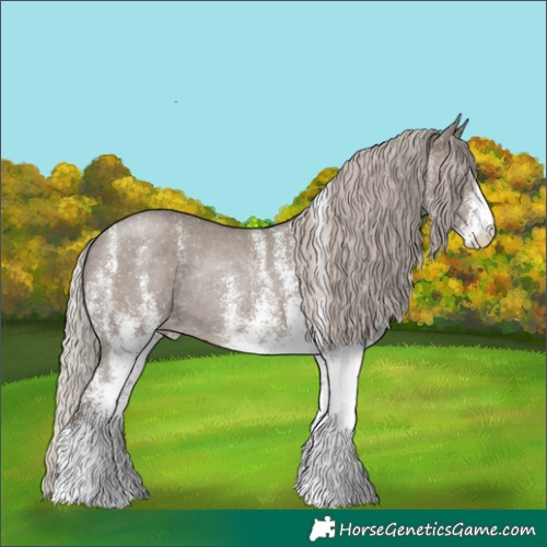 Horse Color:White Spotted Silver Grullo Rabicano 