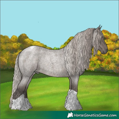 Horse Color:Silver Blue Roan Tobiano Rabicano 