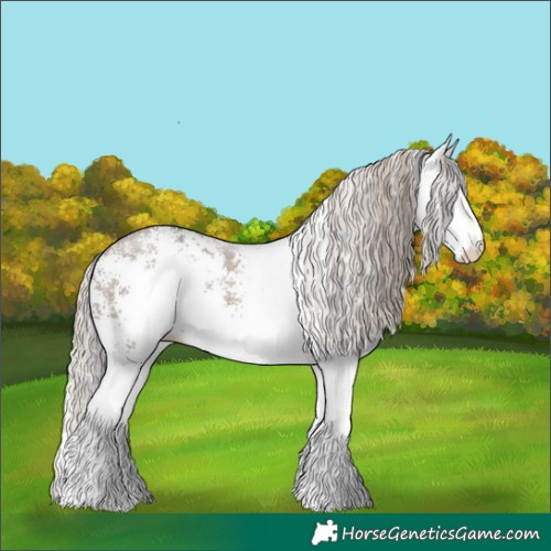 Horse Color:White Spotted Silver Grullo Rabicano 