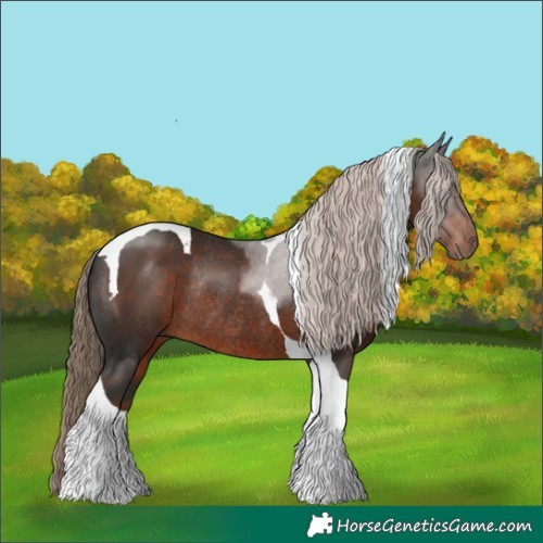 Horse Color:Liver Chestnut Tobiano Rabicano 