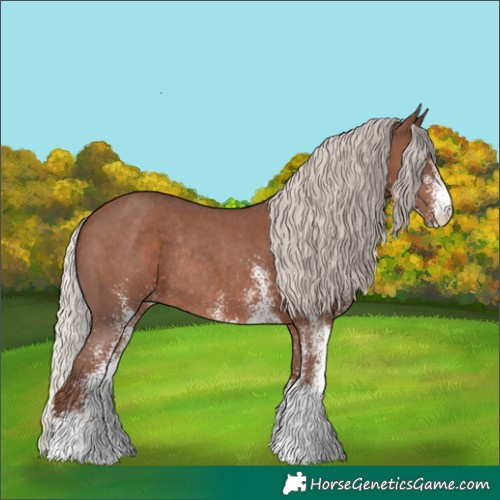 Horse Color:White Spotted Silver Black Rabicano