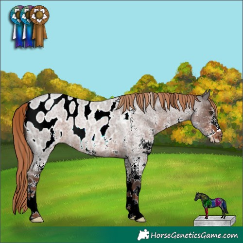 Horse Color:White Spotted Liver Red Roan Near Leopard Rabicano