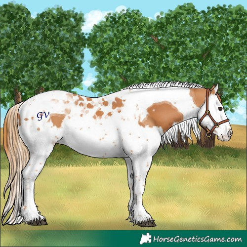 Horse Color:Chestnut Splash Tobiano  and Chestnut Splash Tobiano 