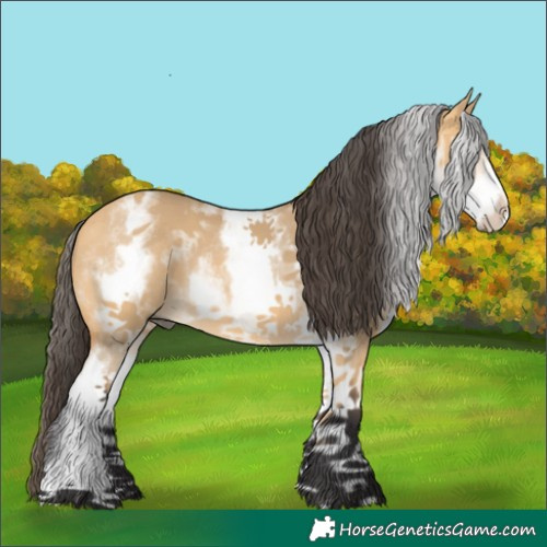 Horse Color:White Spotted Buckskin Dun 