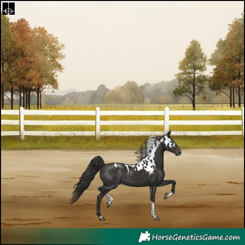 Horse Color:Liver Chestnut Tobiano Skewed LP Spotted Rabicano 