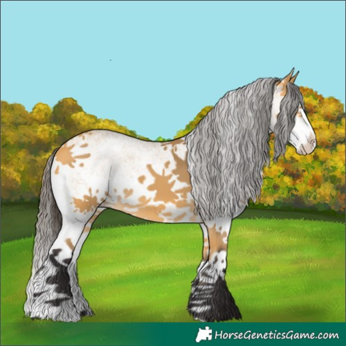 Horse Color:White Spotted Buckskin Splash