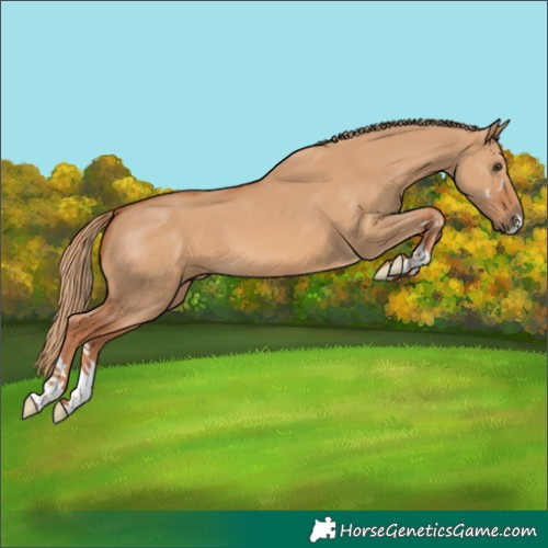 Horse Color:Red Dun