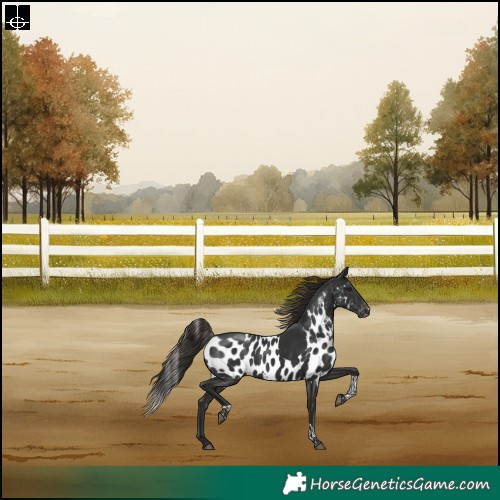 Horse Color:Liver Chestnut Tobiano Skewed Appaloosa Rabicano 