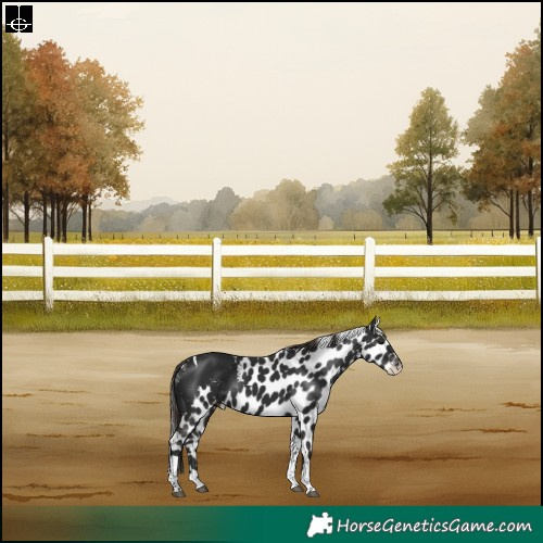 Horse Color:Liver Chestnut Tobiano Skewed LP Spotted Rabicano