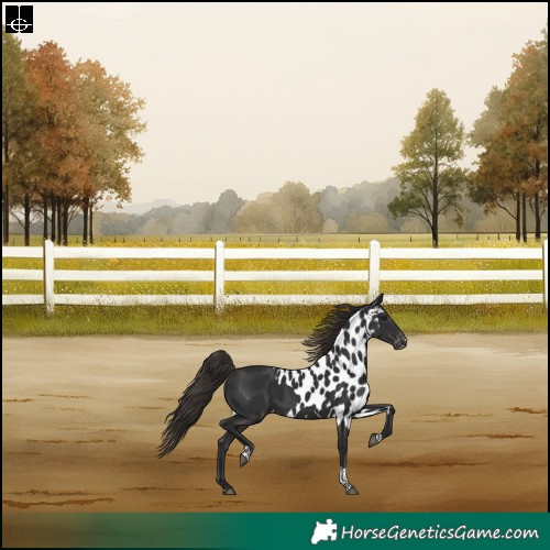 Horse Color:Liver Chestnut Tobiano Skewed LP Spotted Rabicano
