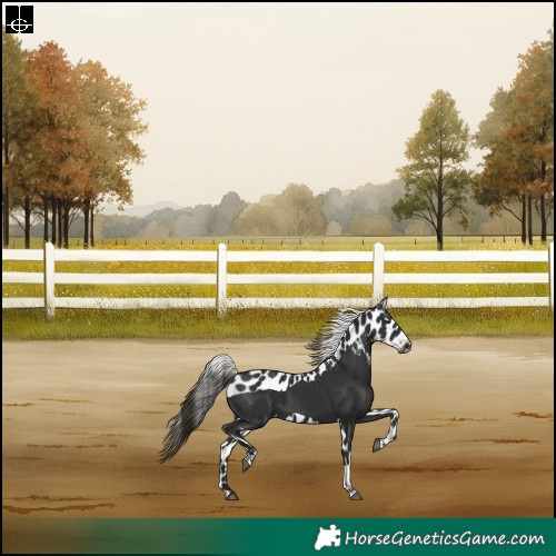 Horse Color:Liver Chestnut Tobiano Skewed LP Spotted Rabicano 
