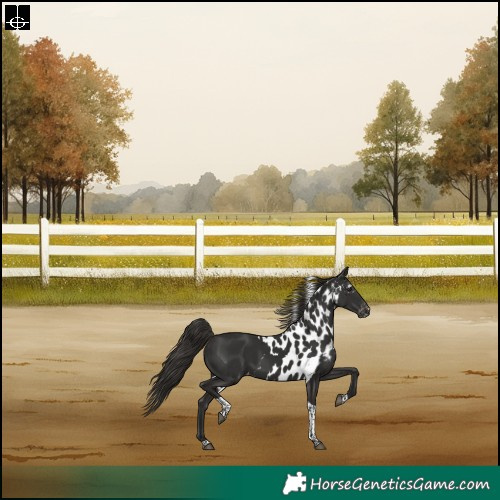 Horse Color:Liver Chestnut Tobiano Skewed LP Spotted Rabicano