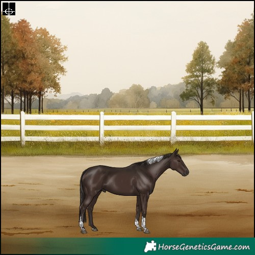 Horse Color:Liver Chestnut Tobiano Rabicano