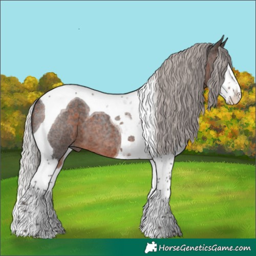 Horse Color:Silver Brown Roan Splash Tobiano
