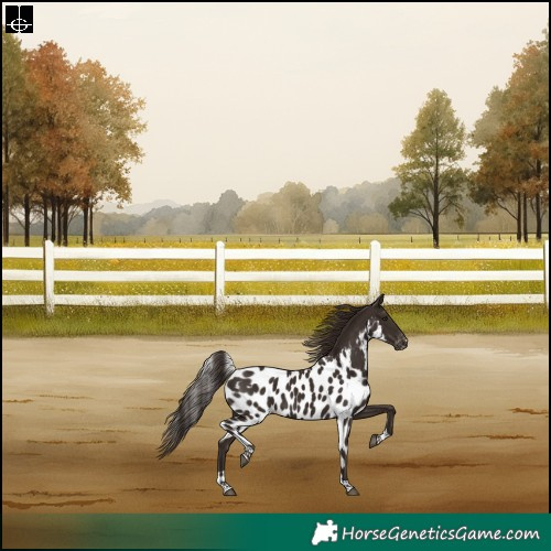 Horse Color:Liver Chestnut Tobiano Skewed Appaloosa Rabicano