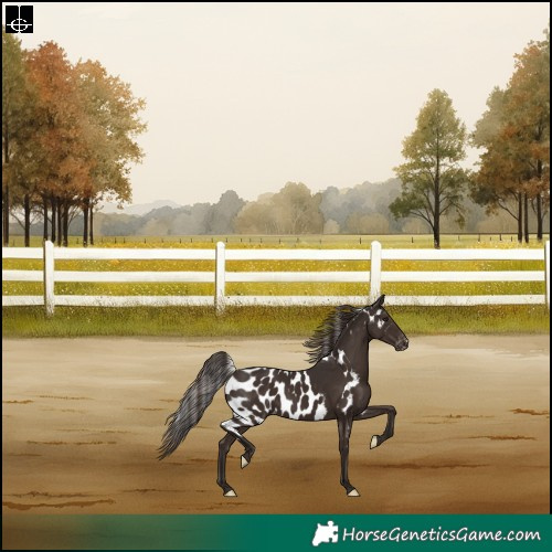 Horse Color:Liver Chestnut Skewed LP Spotted Rabicano