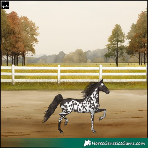 Horse Color:Liver Chestnut Tobiano Skewed LP Spotted Rabicano