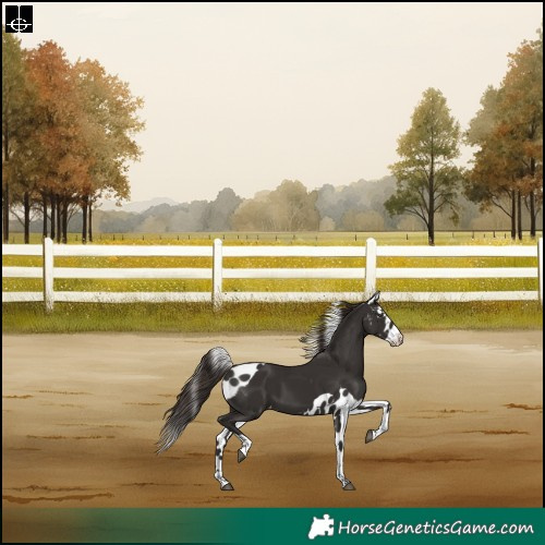 Horse Color:Liver Chestnut Tobiano Skewed LP Spotted Rabicano